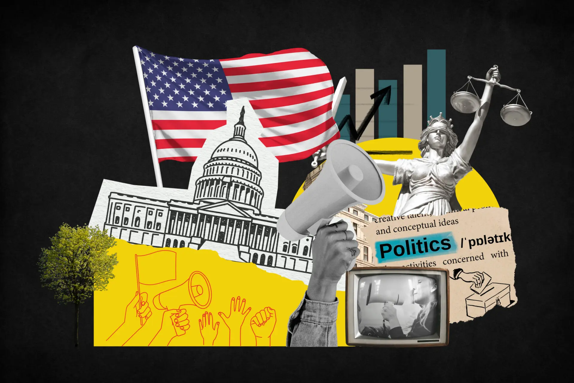 American politics